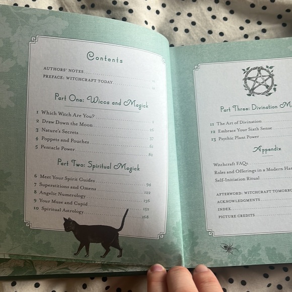 The Witch’s Way hardcover book by Shawn Robbins & Leanna Greenaway - Picture 6 of 9